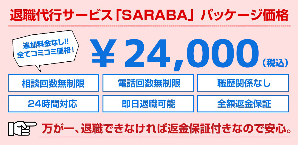 代行費用￥24000ポッキリ